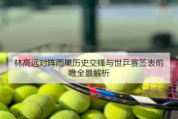 林高远对阵雨果历史交锋与世乒赛签表前瞻全景解析
